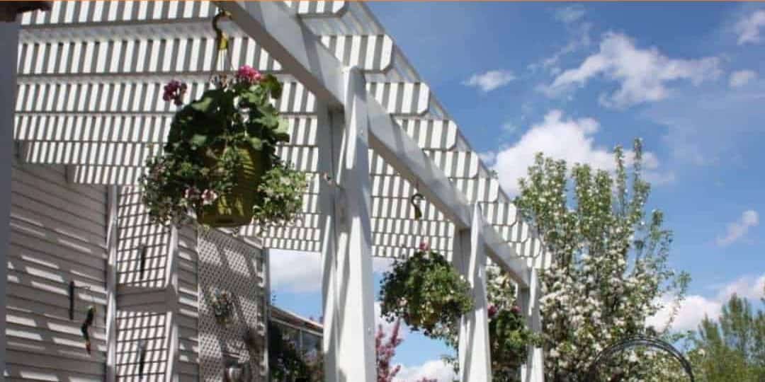Pergola Contractor in Calgary