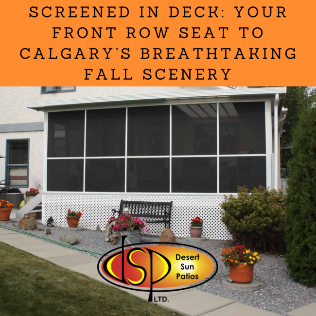 Screened-In-Deck-Your-Front-Row-Seat-to-Calgarys-Breathtaking-Fall-Scenery