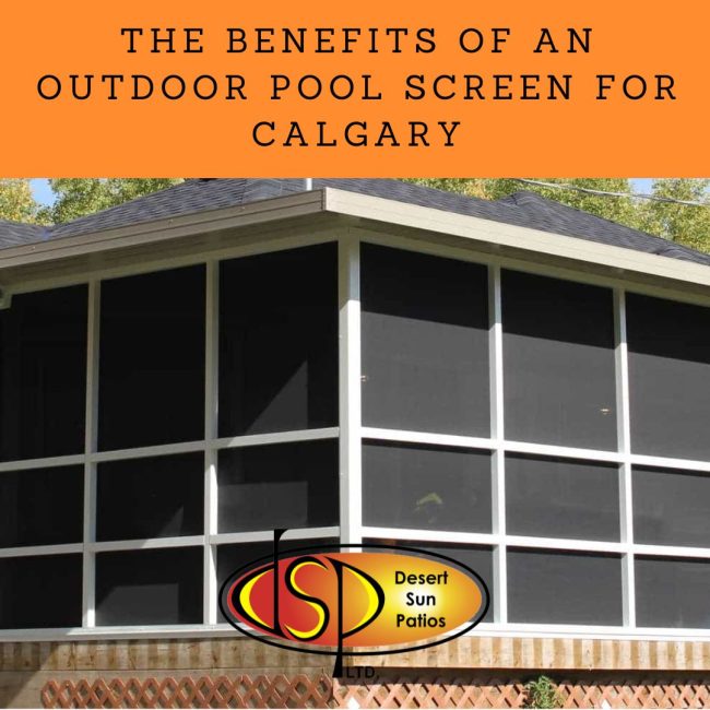 The-Benefits-of-an-Outdoor-Pool-Screen-for-Calgary