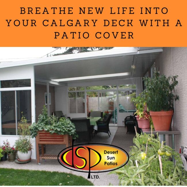 Breathe New Life into Your Calgary Deck with a Patio Cover